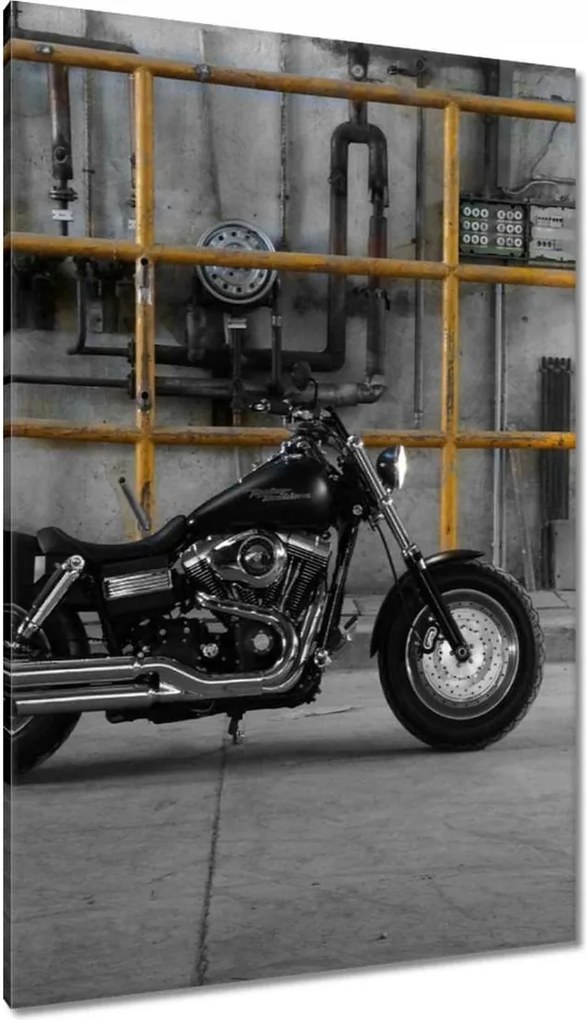 Festmények 80x120 Harley Davidson
