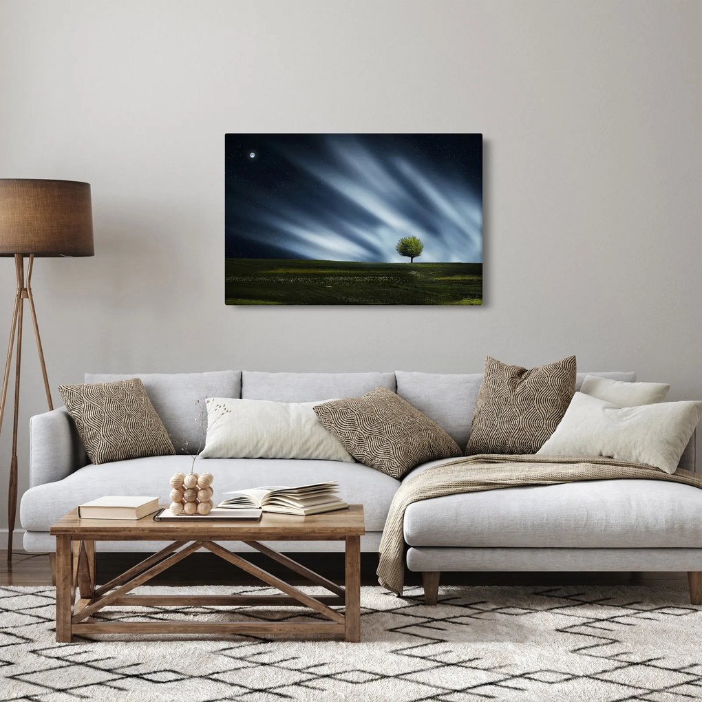 Az aurora borealis képe egy lápvidéken (90x60 cm)