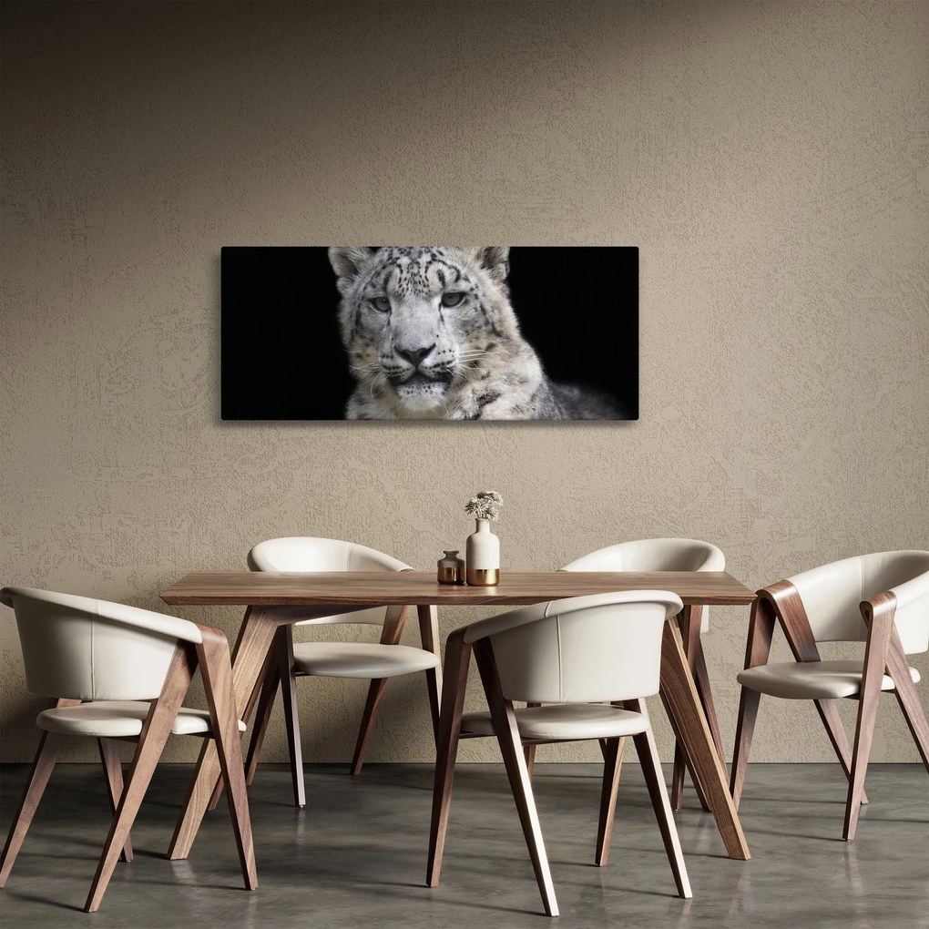 Kép - Snow Leopard (120x50 cm)