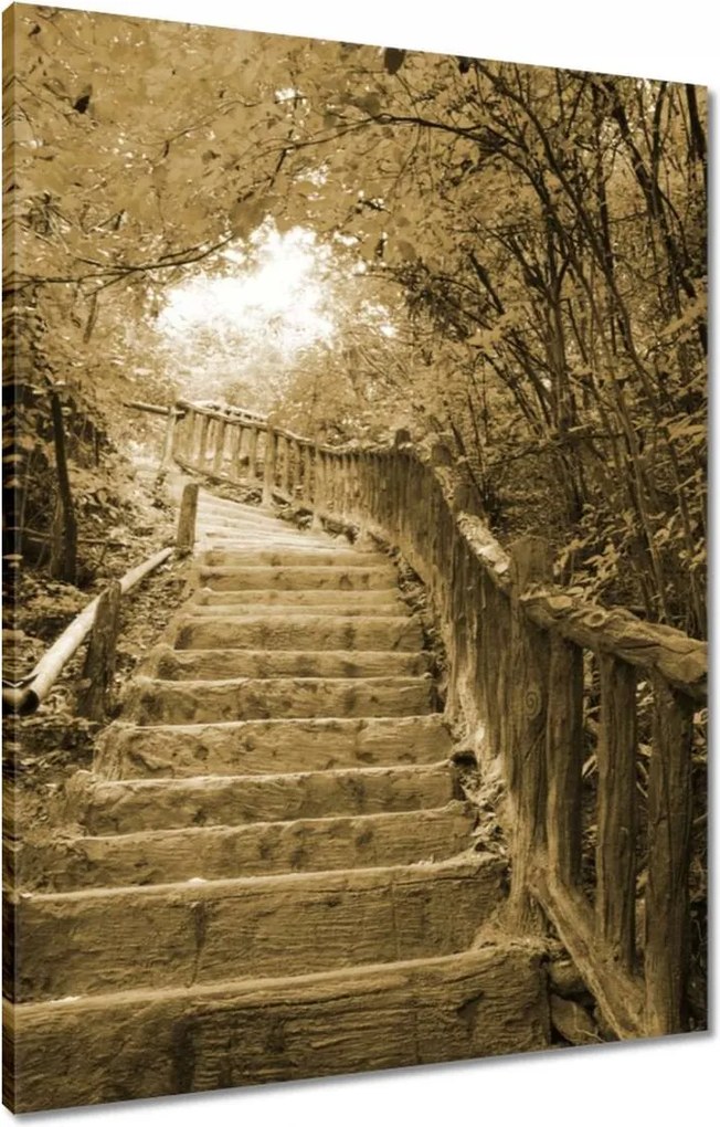 Vászonkép 60x80 Lépcsők szépia színben