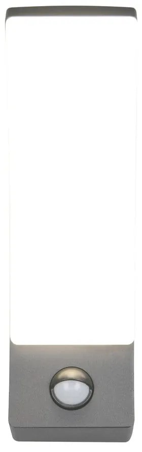 LED fali kültéri lámpa (magasság 22,5 cm) Beja – Trio