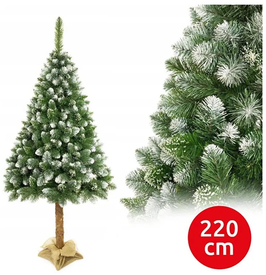 Karácsonyfa törzsön 220 cm fenyő