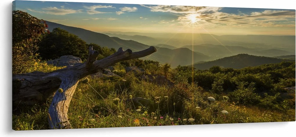 Kép - kilátás a tájra (120x50 cm)
