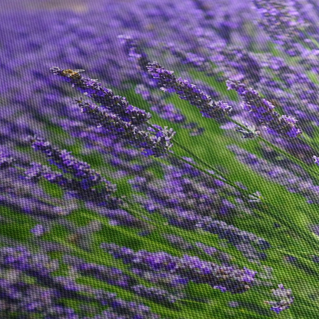 Kép - levandula (120x50 cm)