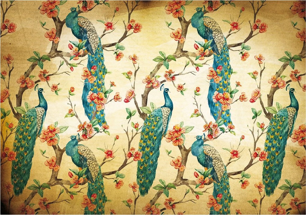 Páva fotótapéta az elegancia és a luxus virágzó kertjében 200x140 +ragasztó