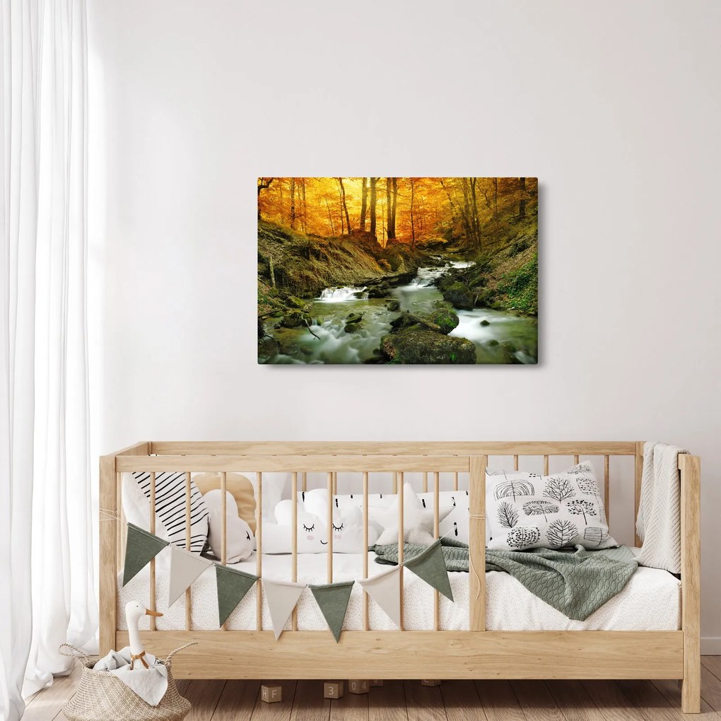 Kép - Erdő (90x60 cm)