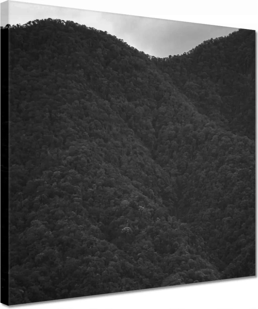 Vászonkép 30x30 Kilátás hegy nap erdő