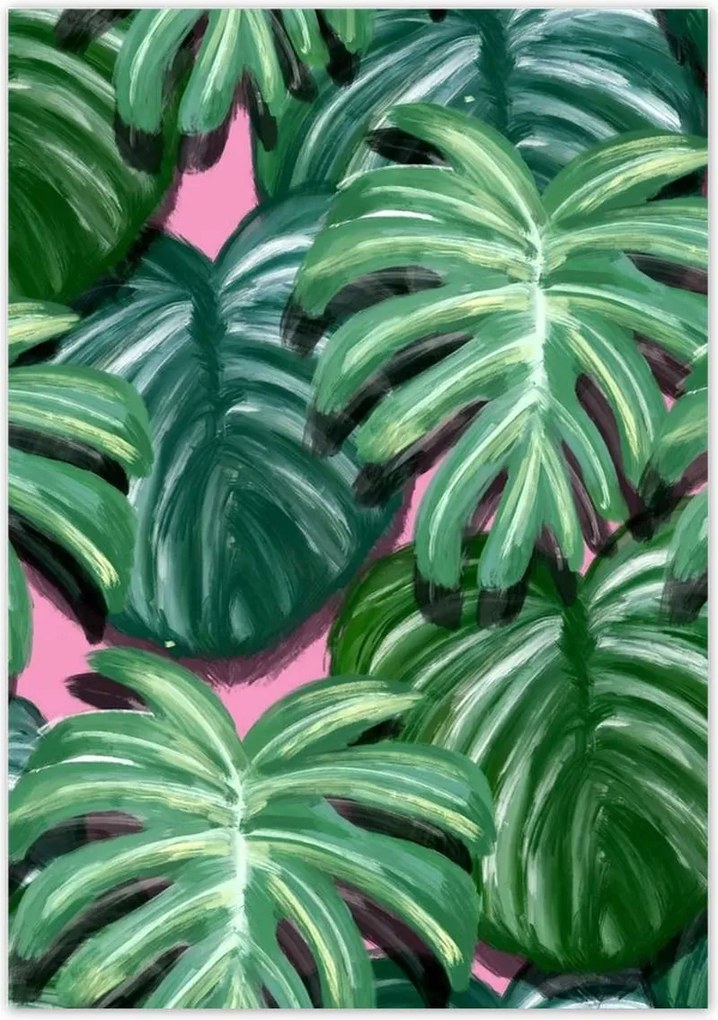 Poszterek 70x100 Monstera Levelek levél