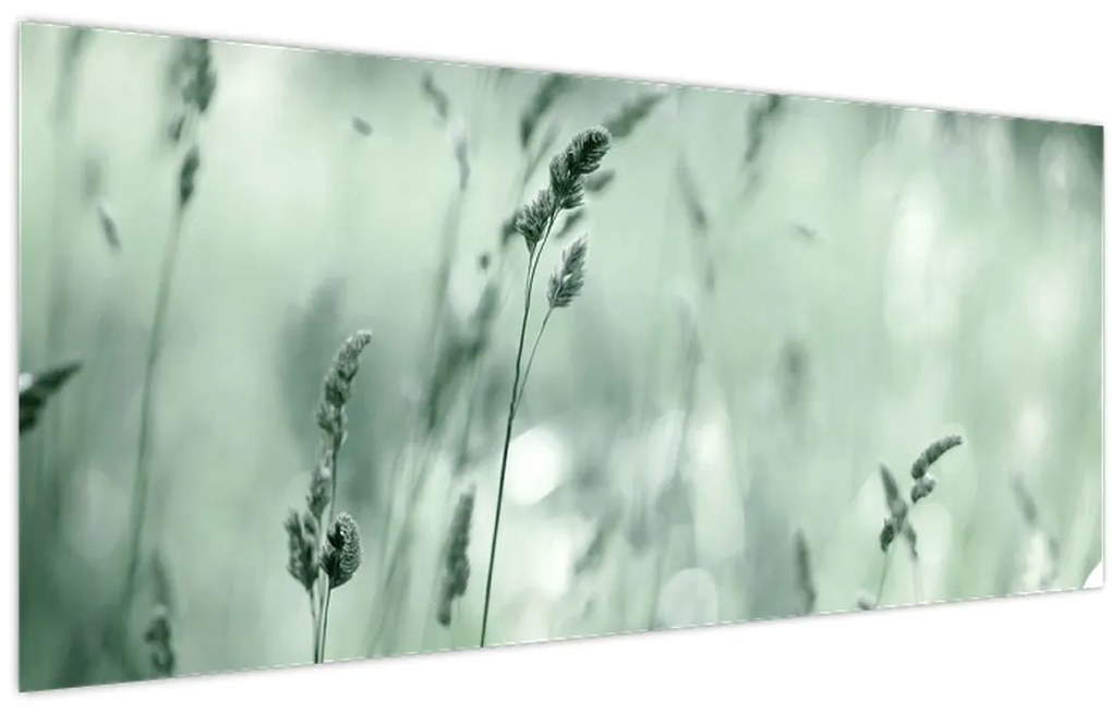 Kép - Zöld rét (120x50 cm)