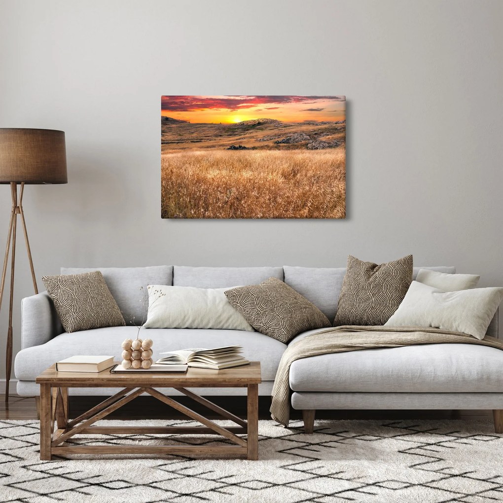 Mező képe (90x60 cm)