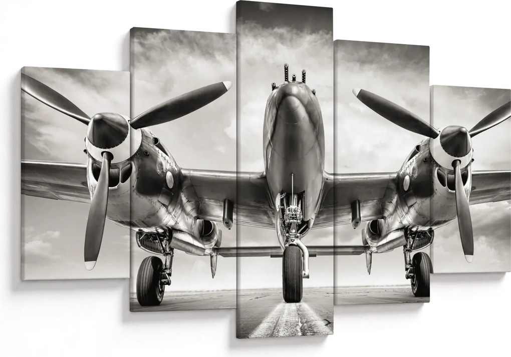 Kép - Warbird (150x105 cm)