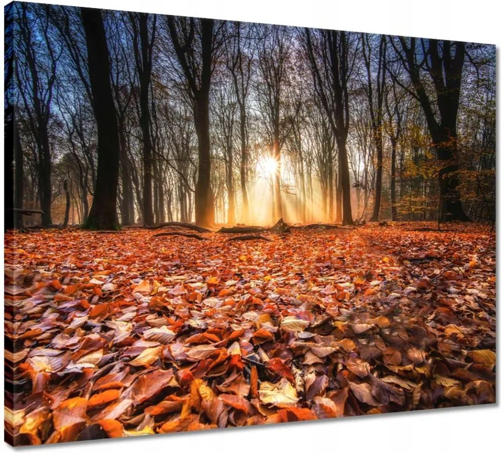 Vászonkép 50x40 Őszi kilátás Tájkép