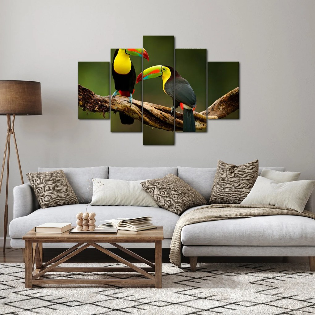 Ülő tukánok képe, Costa Rica (150x105 cm)
