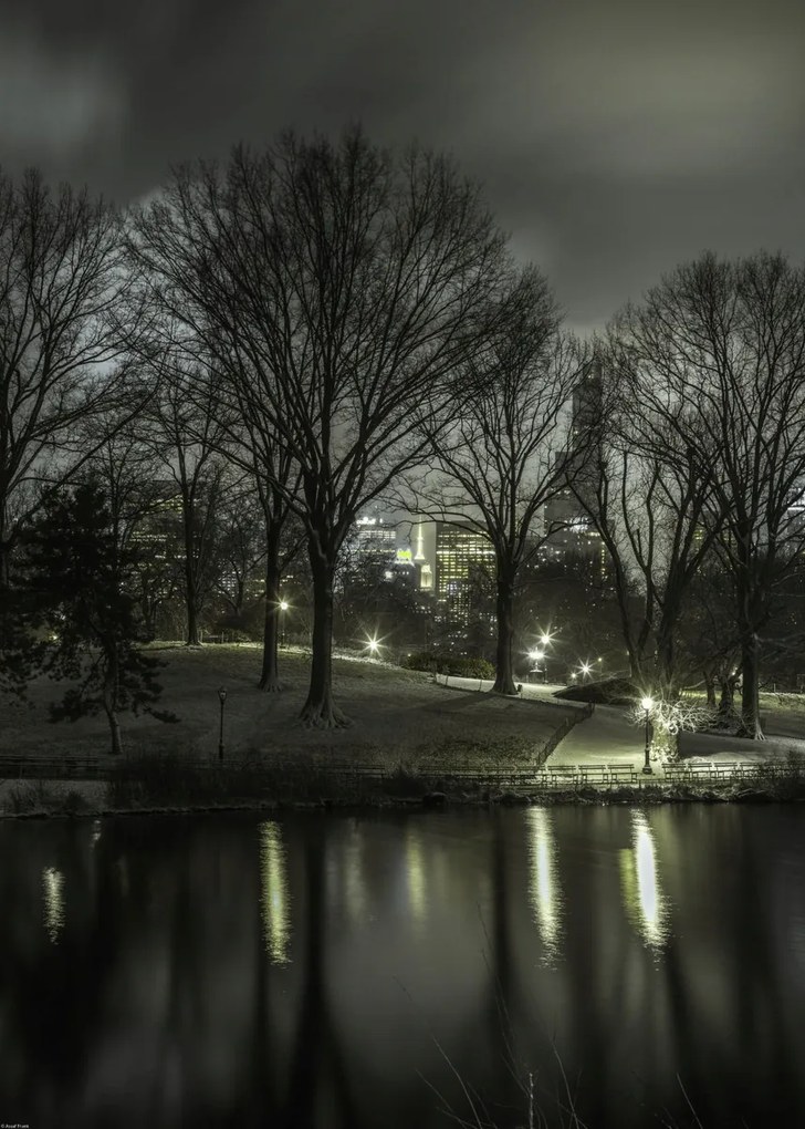 Poszter 50x70cm Central Park éjszaka 2, Assaf Frank