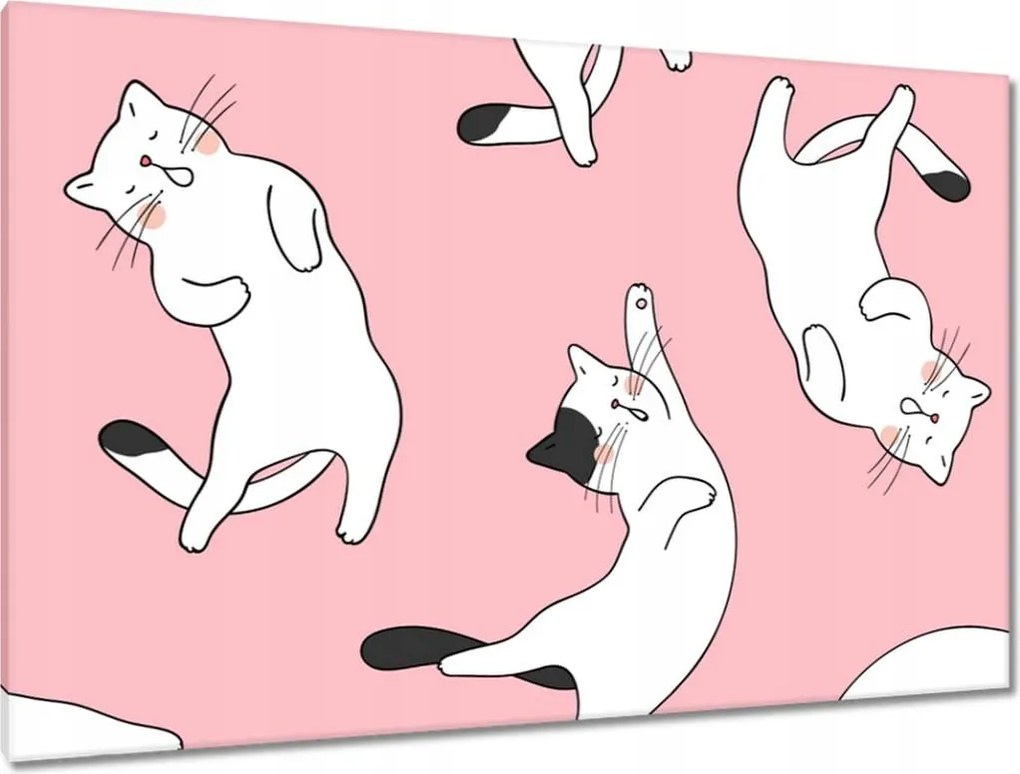 Képek 120x80 Cica Cicák Macskák