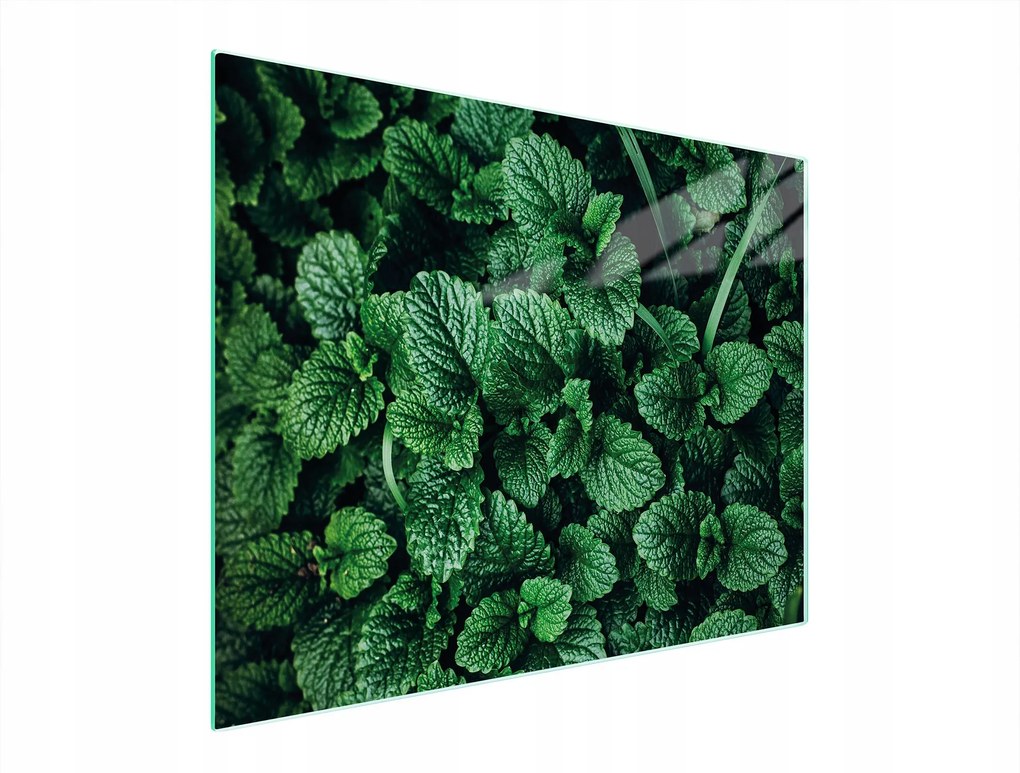 Üveg Vágódeszka 52x40 Citromfű Edzett Üveg