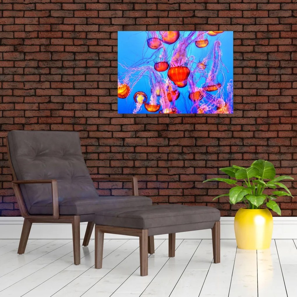 Medúza a tengerben képe (üvegen) (70x50 cm)