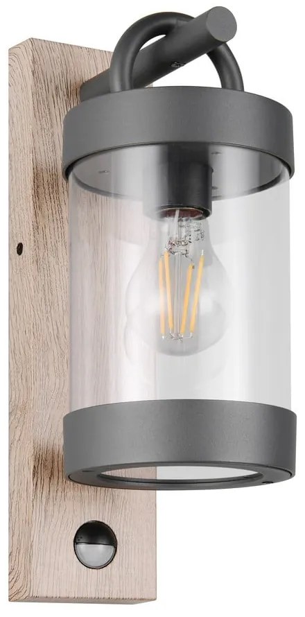 Fali kültéri lámpa (magasság 33 cm) Sambesi – Trio