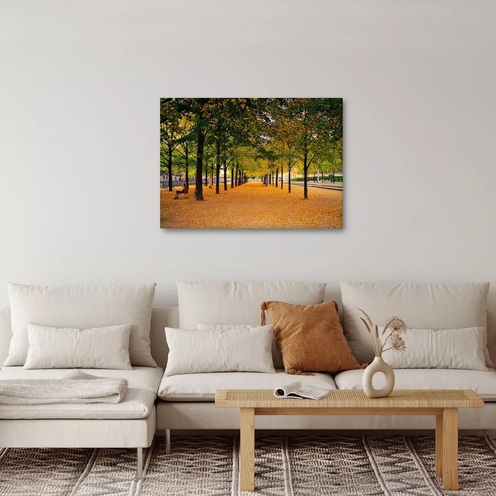 Egy kép az őszi fák sikátorából (70x50 cm)