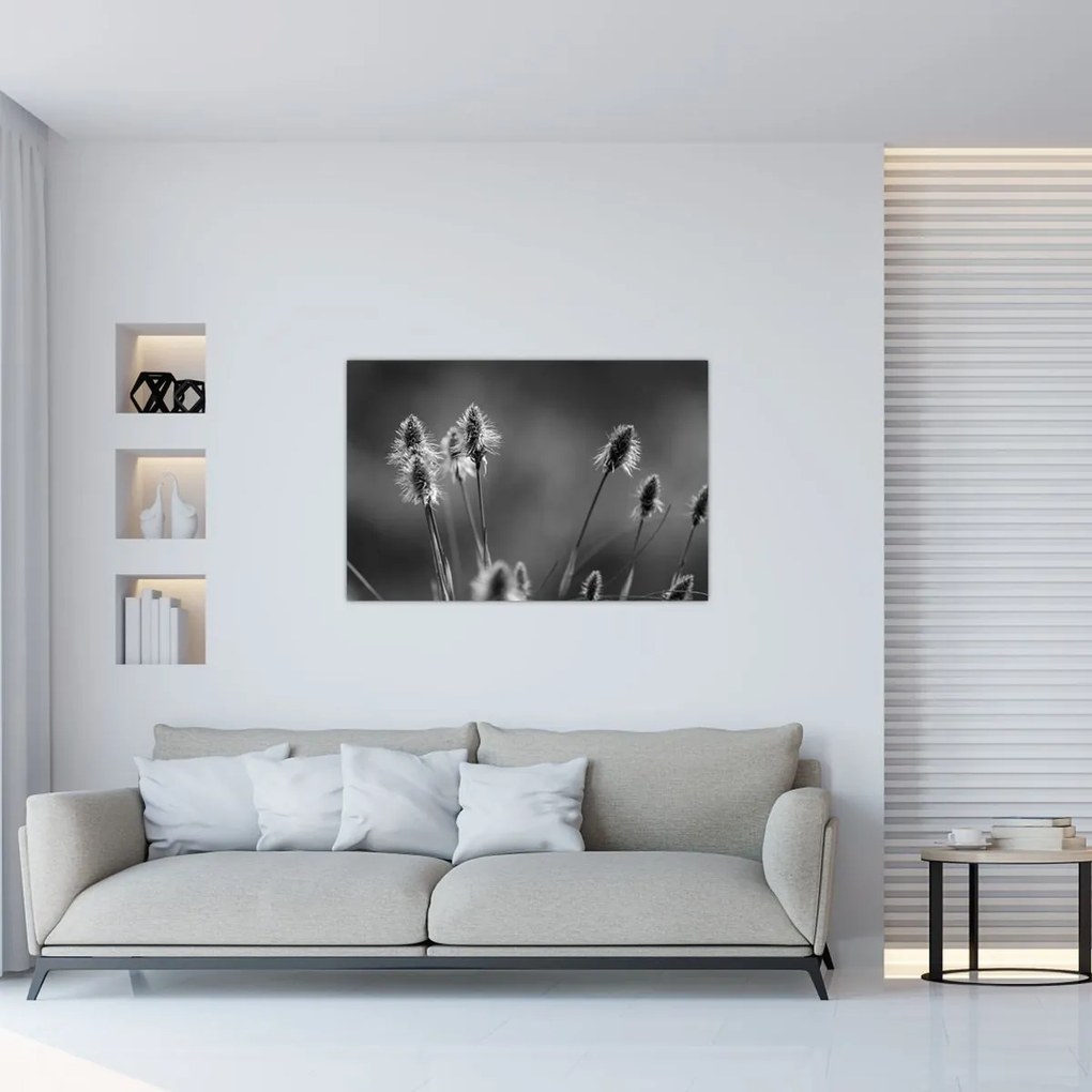 Kép - Bézs színű puha fű N⁰2 (90x60 cm)