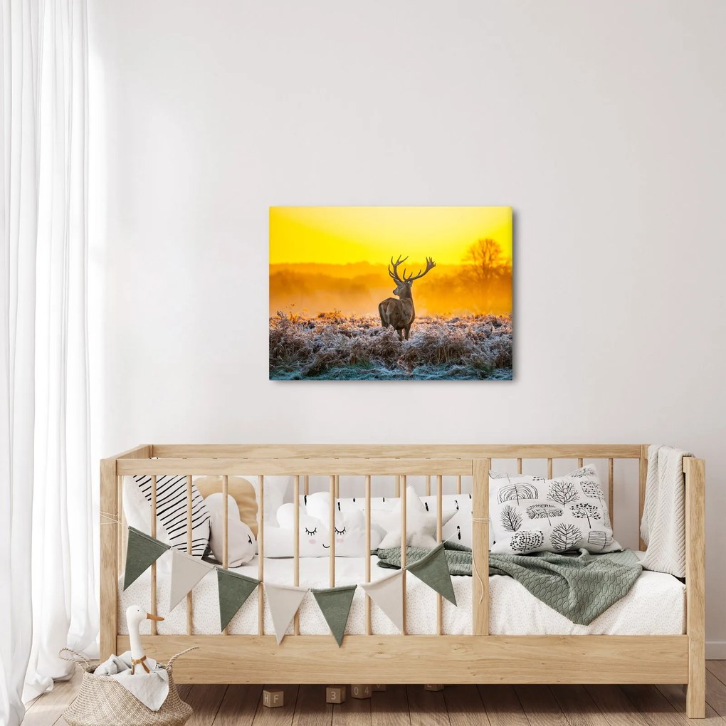 Kép - Szarvas napfelkeltekor (70x50 cm)