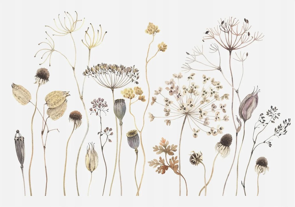 Dekoratív Fotótapéta Hálószobába Mezei virágok 208x146 Ragasztó