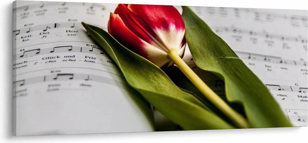 Egy vörös tulipán képe (120x50 cm)