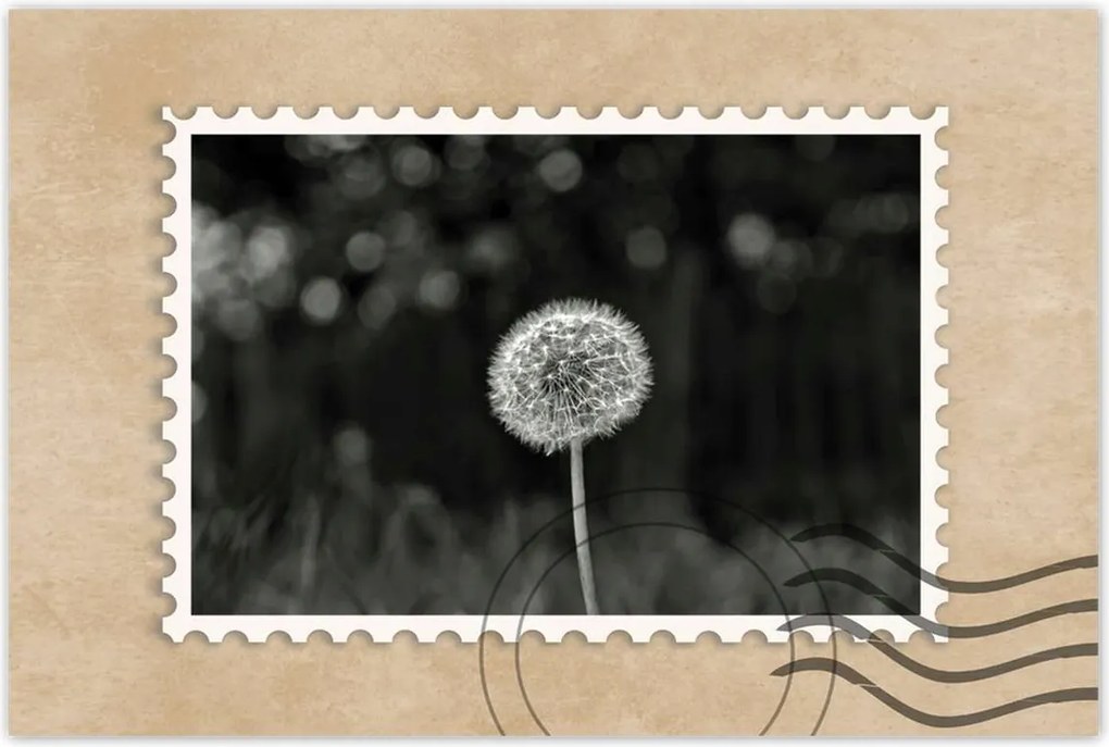 Poszterek 90x60 Pitypang