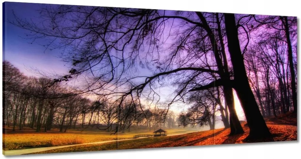 Festmények 120x60 Bajusz park