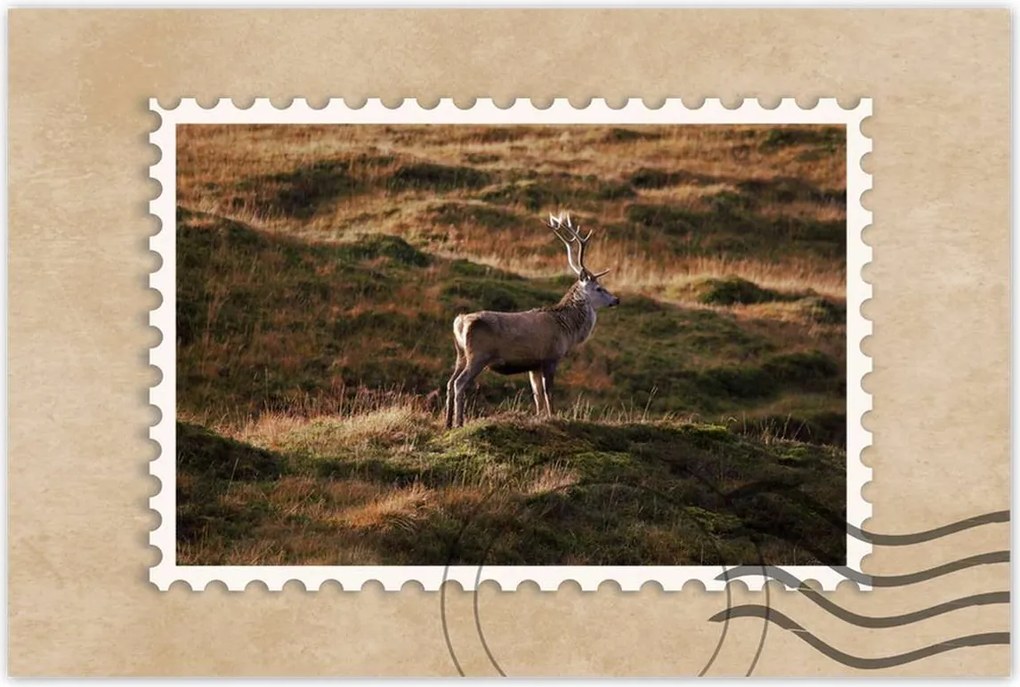 Poszterek 60x40 Szarvas a természetben Vadászat