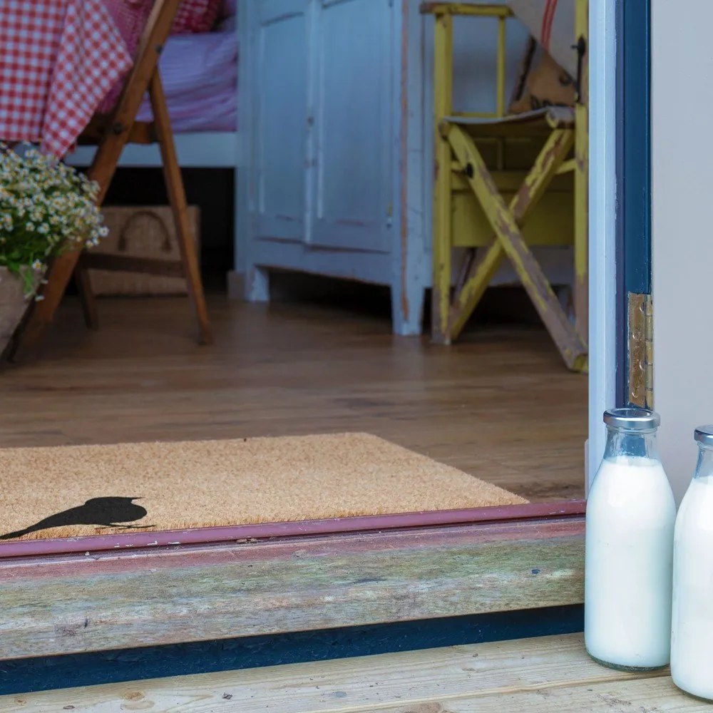 Kókuszrost lábtörlő 40x60 cm Bird – Artsy Doormats