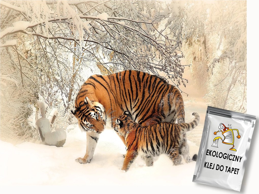 Fotótapéta Flizelina Tigrisek a hóban 300x210 ragasztó