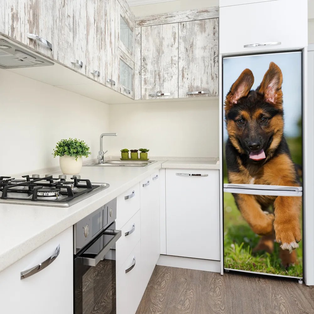 Hűtő matrica Német juhász FridgeStick-70x190-f-109543381