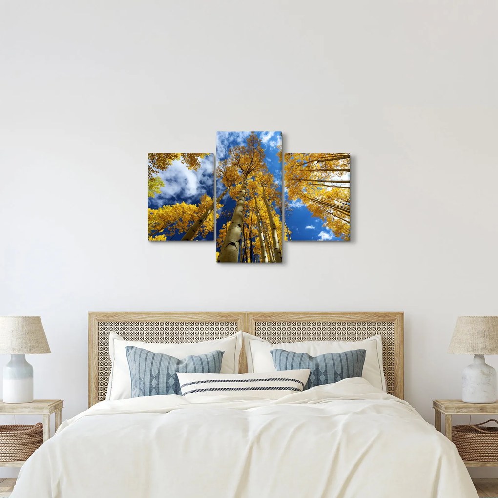 Kép - Aspen (90x60 cm)
