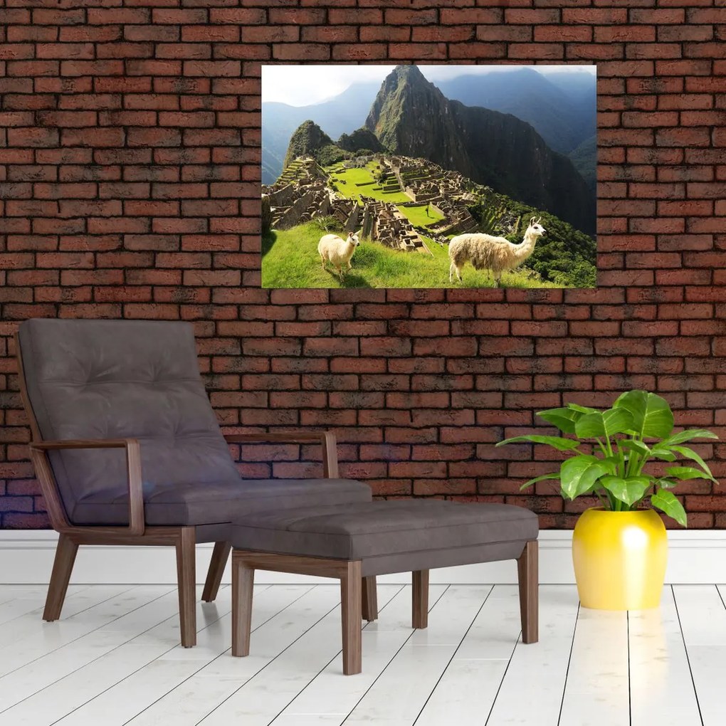 Kép - Machu Picchu (90x60 cm)