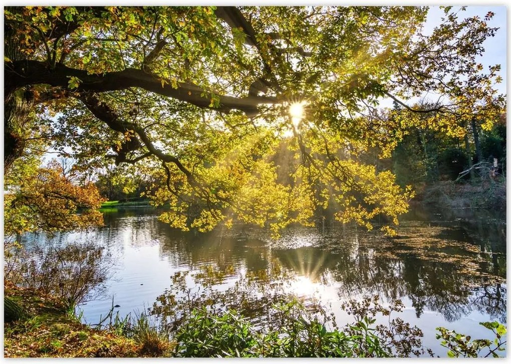 Poszterek 100x70 Tájkép