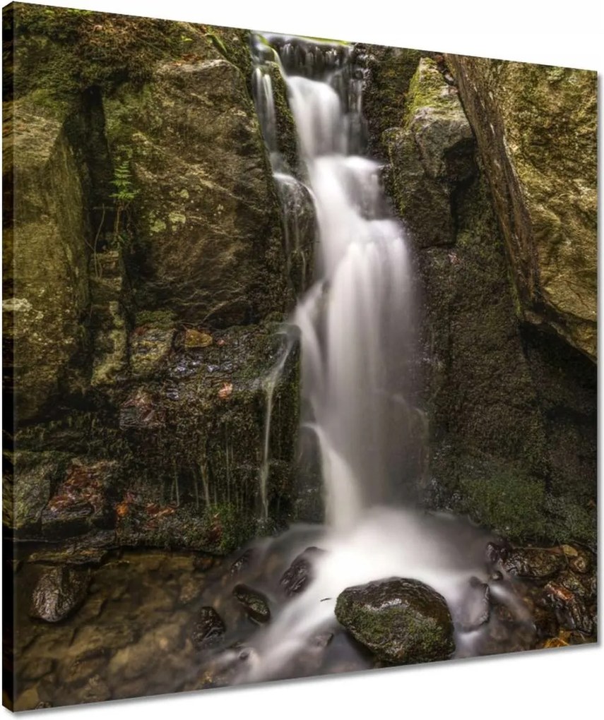 Vászonkép 50x50 Vízesés Erdei zuhatag