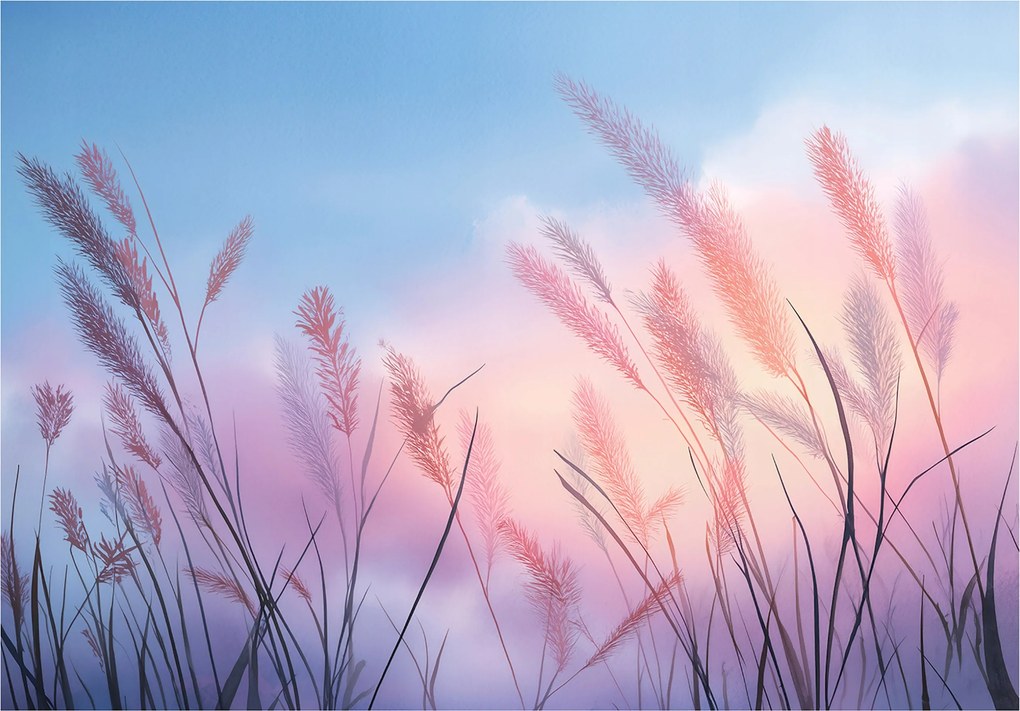 Fotótapéta Pampa Fű Természet Hálószoba Nappali Tapéta Vlies (gyapjúszálas) 350x250