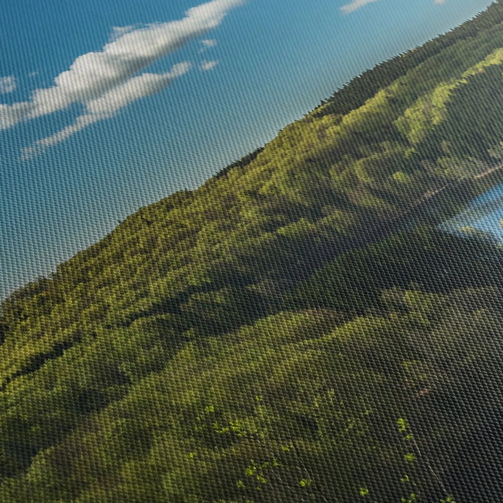 Kép - Tó az erdőben (90x60 cm)