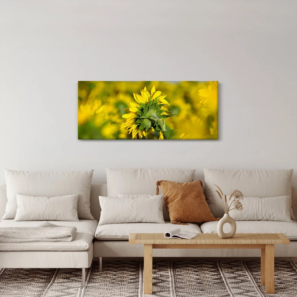 Napraforgó képe (120x50 cm)