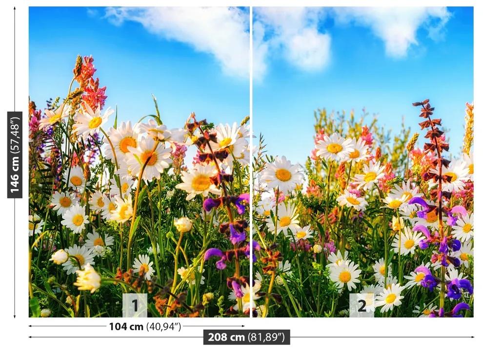 Fotótapéta Tavaszi virágok 104x70 cm