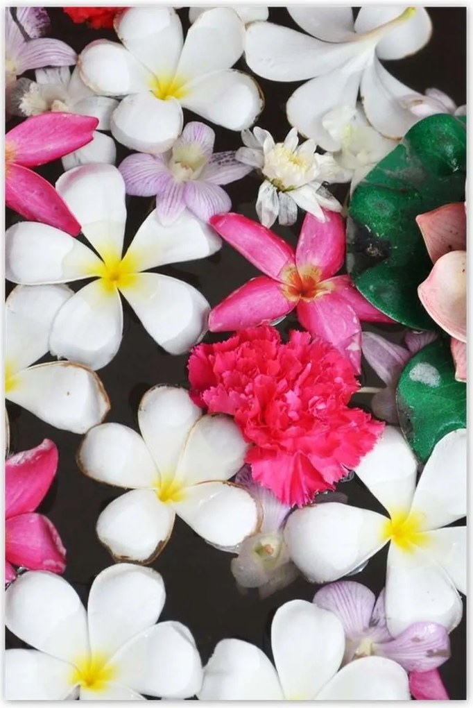 Poszterek 80x120 Nőnap Ajándék Love