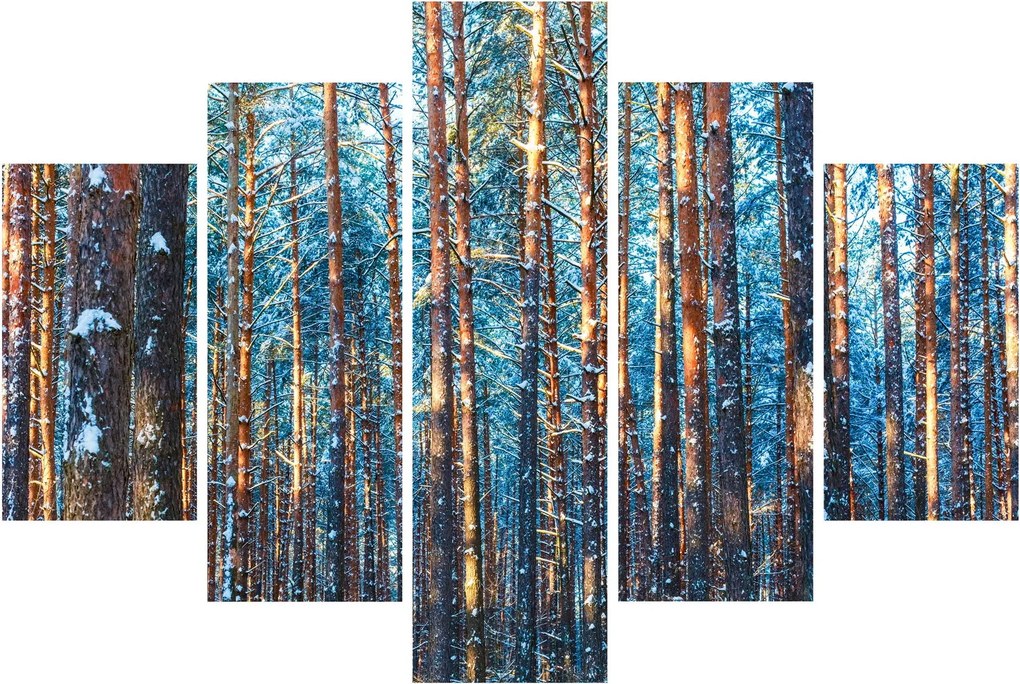 Kép - téli erdő (150x105 cm)
