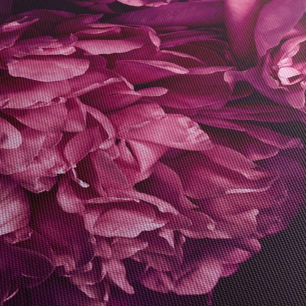 Kép - Csokor pünkösdi rózsa (70x50 cm)