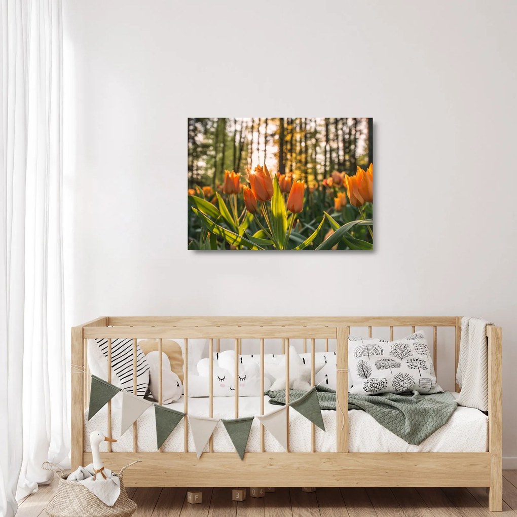 Narancssárga tulipán képe (üvegen) (70x50 cm)