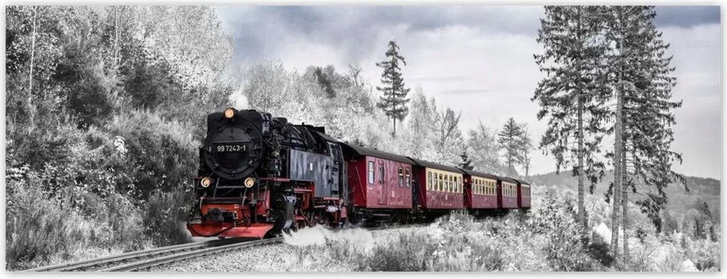 Fotótapéták 250x93 Vonat és téli aura