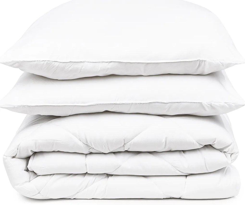 4Home Aloe Vera paplan és párnák szett, 200 x 220 cm, 2 db 70 x 90 cm, 200 x 220 cm, 2 ks 70 x 90 cm