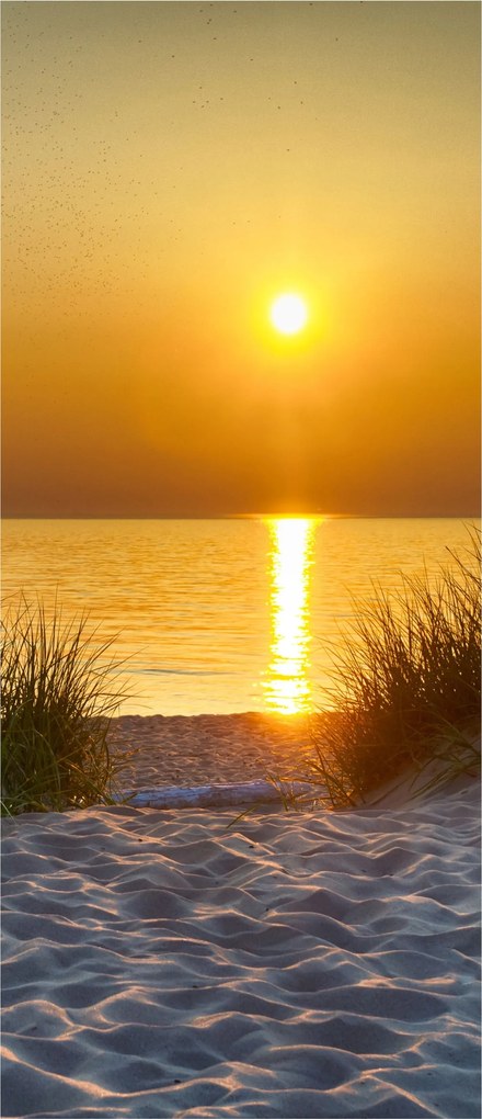 Matrica Háttérkép Naplemente tengerpart Dűnék Tenger Homok Arany fény 91x211