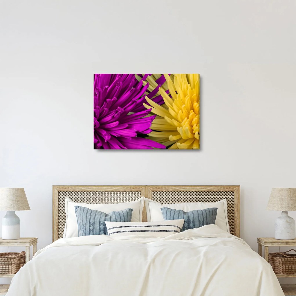 Kép - virág részlet (70x50 cm)