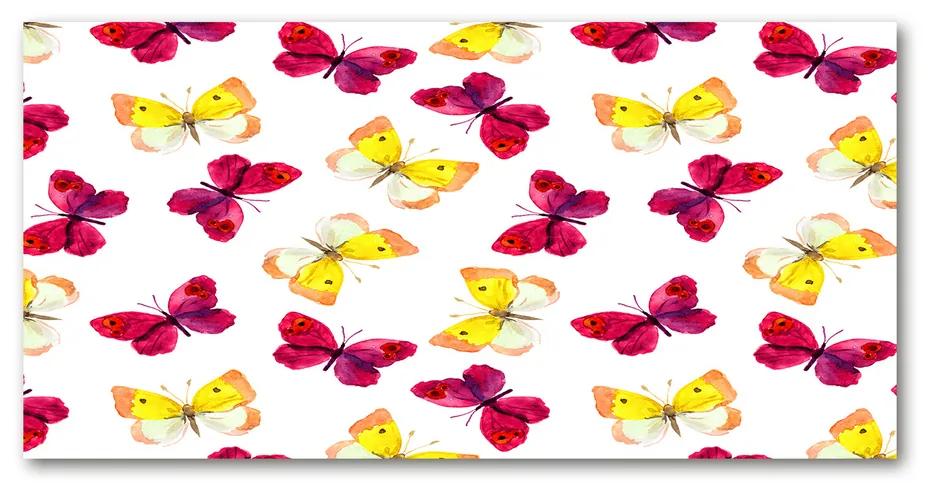 Akrilkép Pillangók és virágok pl-oa-100x50-f-96038679